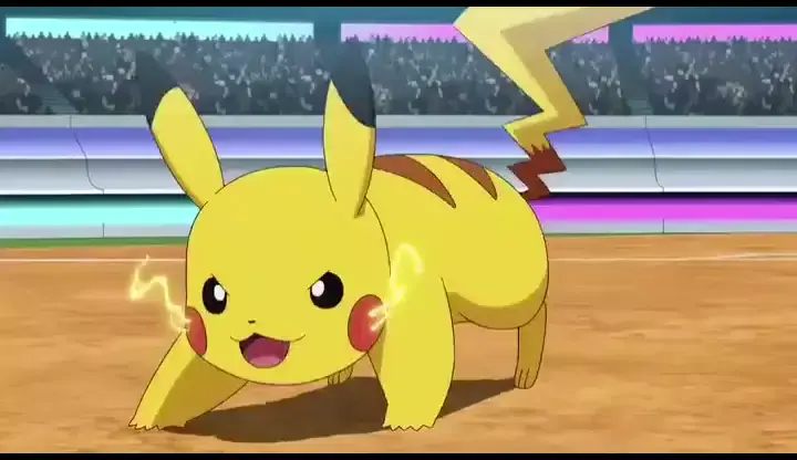 pokémon jornadas episódio completa