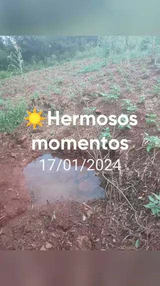 geandra bazzanella de leg | Discover