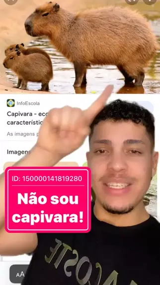 foto da capivara sigma