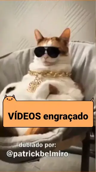 Videos engraçado