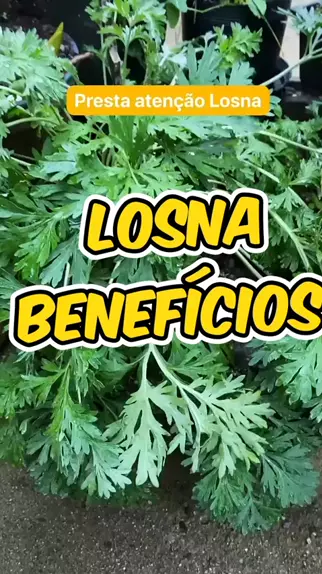 pratique sa de pratiquesaude . udio original criado por pratique sa de. planta plantamedicinal viral natural benef cios