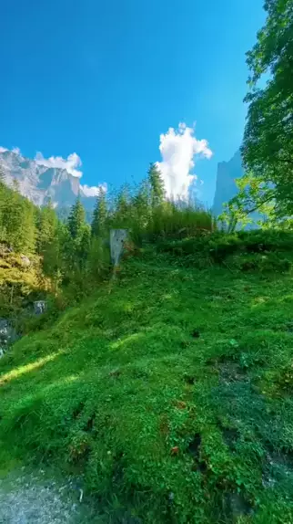 enature videos | Discover