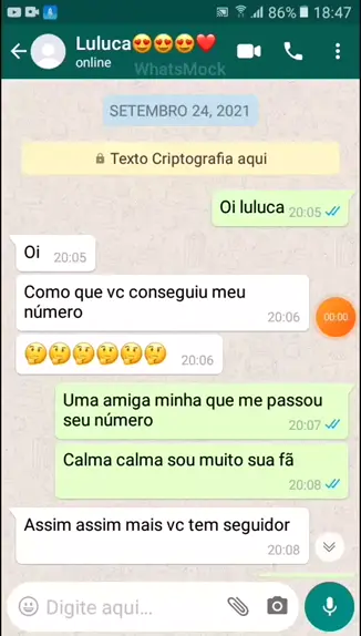 Número do WhatsApp da Luluca (2023)