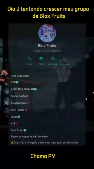 Quem quiser entra no Grupo de Blox Fruits Do Whatsapp Chama Pv