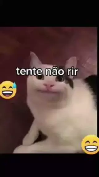 TENTE NÃO RIR  MEMES SHITPOST - MEMES BR🔥😂 