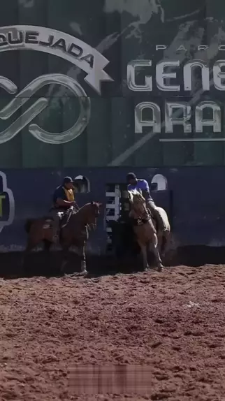 Nego Edson O Homem Testado Vaquejada Cavalo Vaqueiro Boi Nordeste