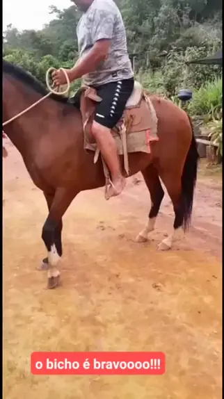 CAVALO BRAVO SAI PULANDO DANDO COICE NA CAVALGADA 