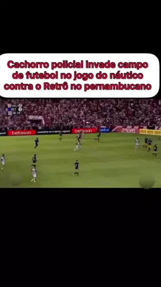 Cachorro invade campo e rouba bola durante jogo de futebol no México