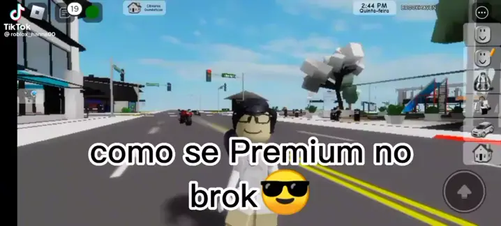 brookhaven roblox premium hack