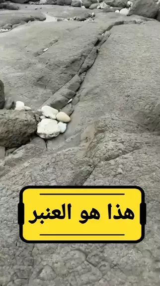 اطيز ورعان | Discover