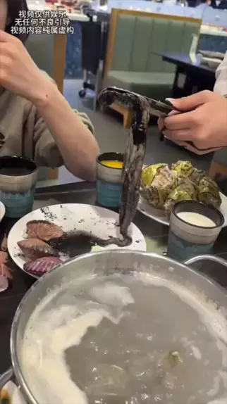 热门娱乐视频 | Discover