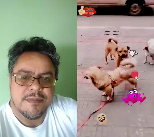 follo meme & hoy follo.meme| Discover
